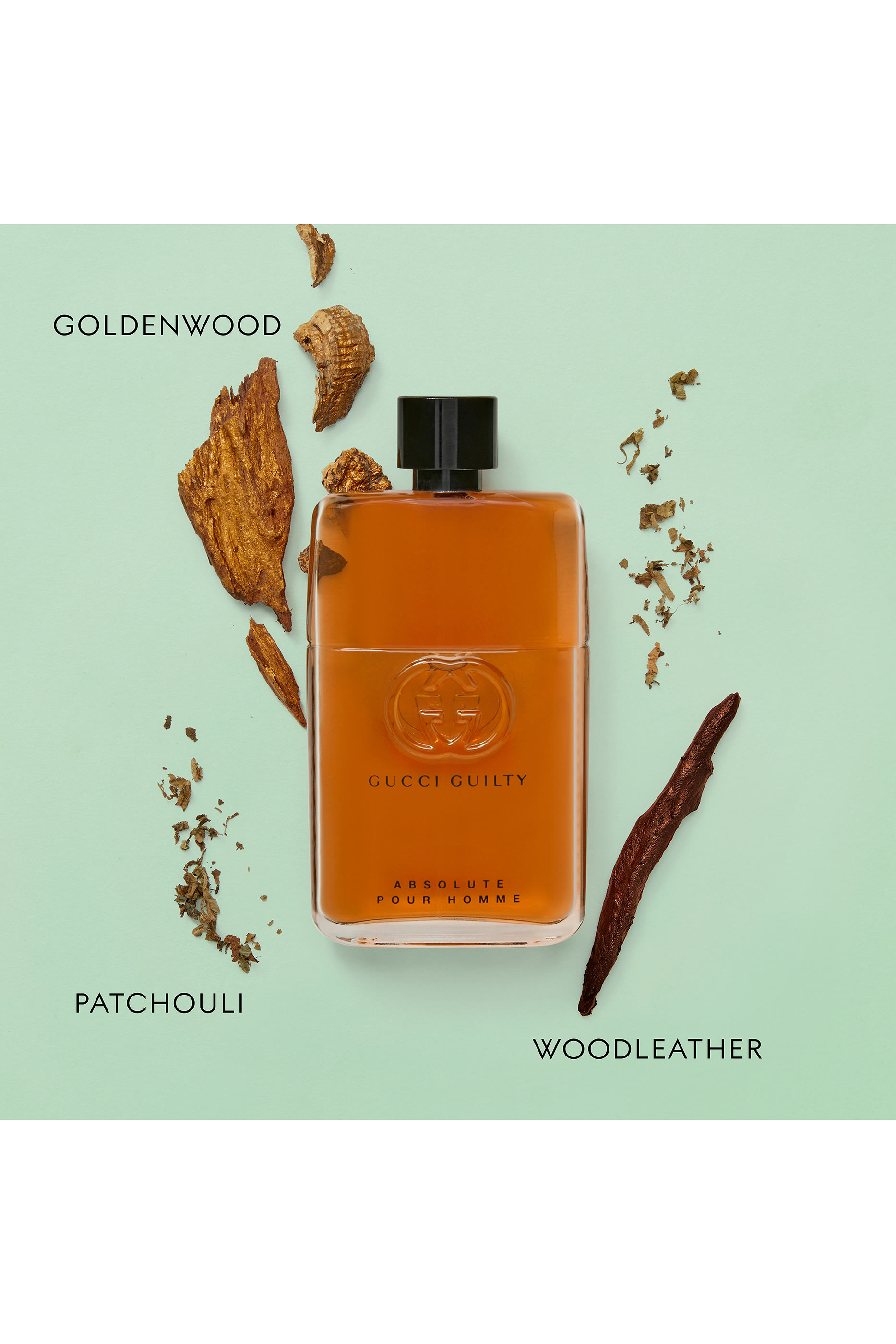 أو دو بارفان أبسولوت