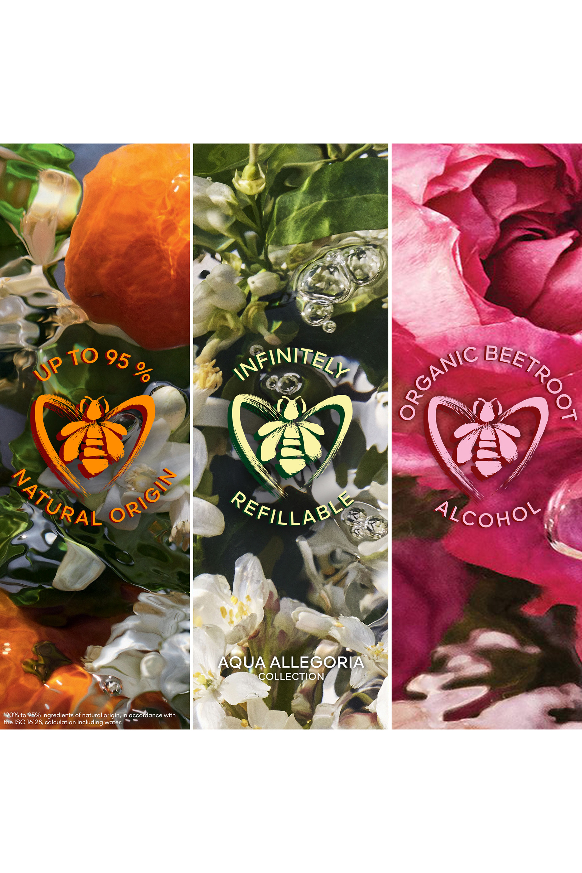 أو دو بارفان أكوا أليغوريا فورتي روزا باليساندرو