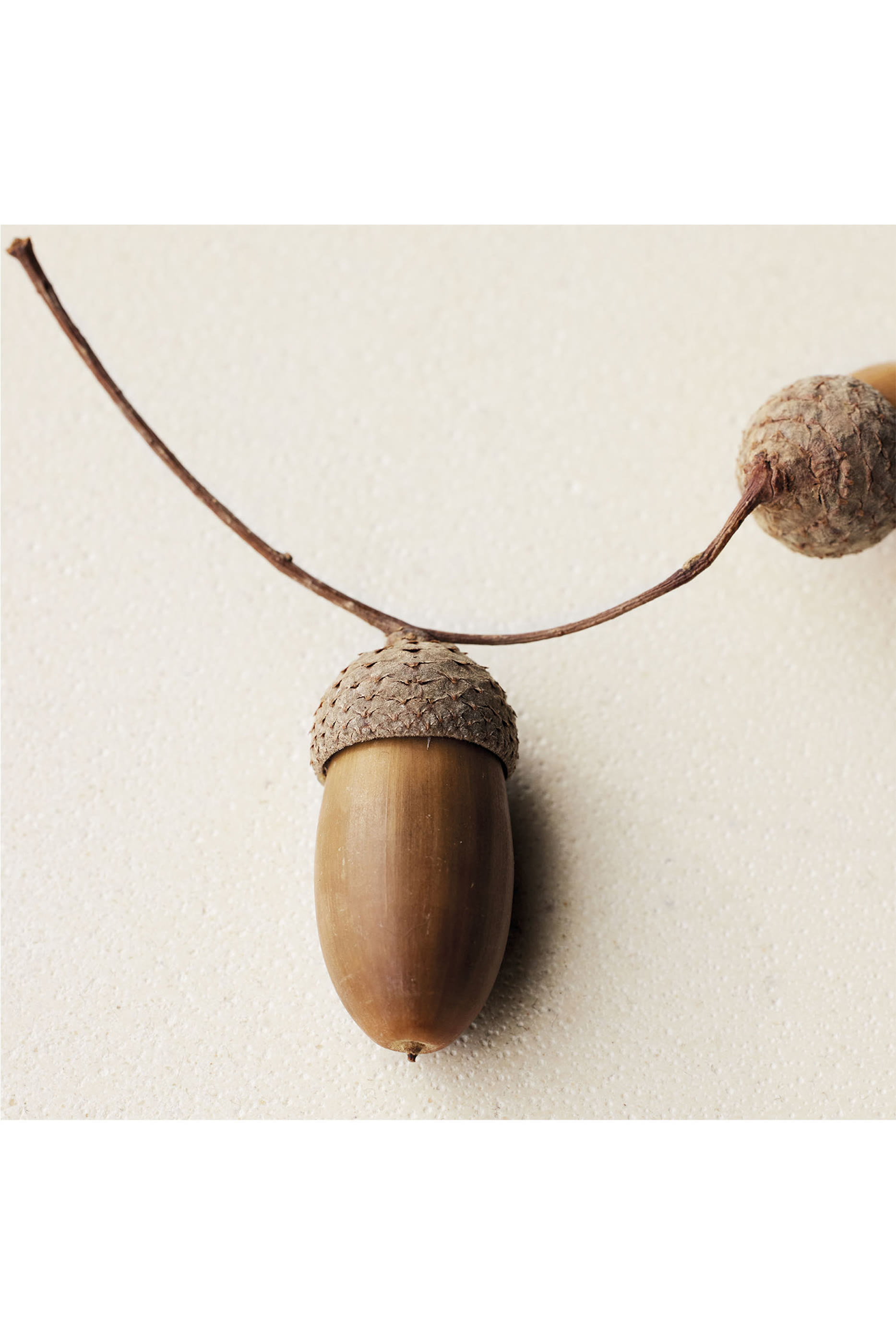 أو دو بارفان أتيليه دي فلور شين