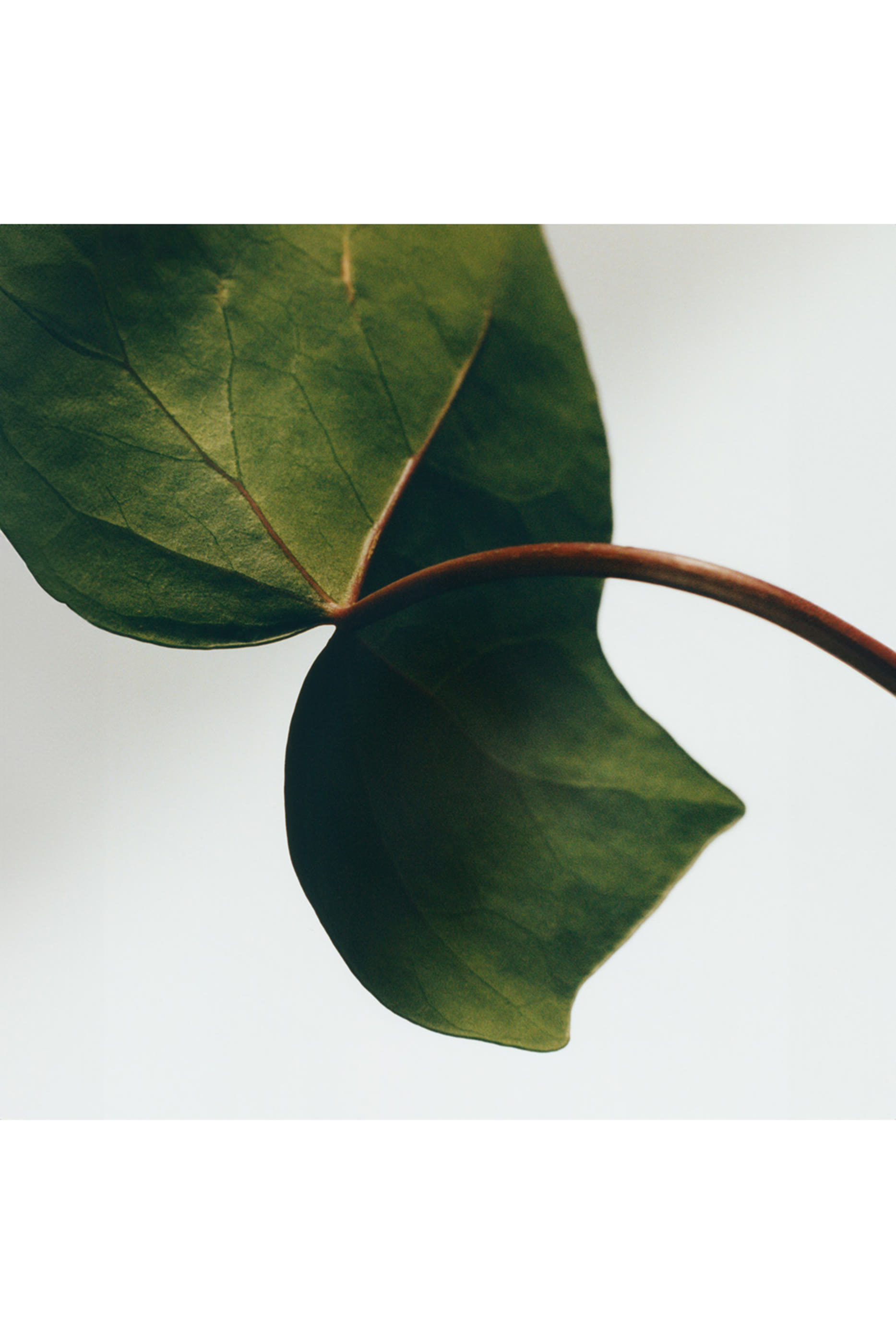 مجموعة ثنائية صابون ايفي بحجم صغير