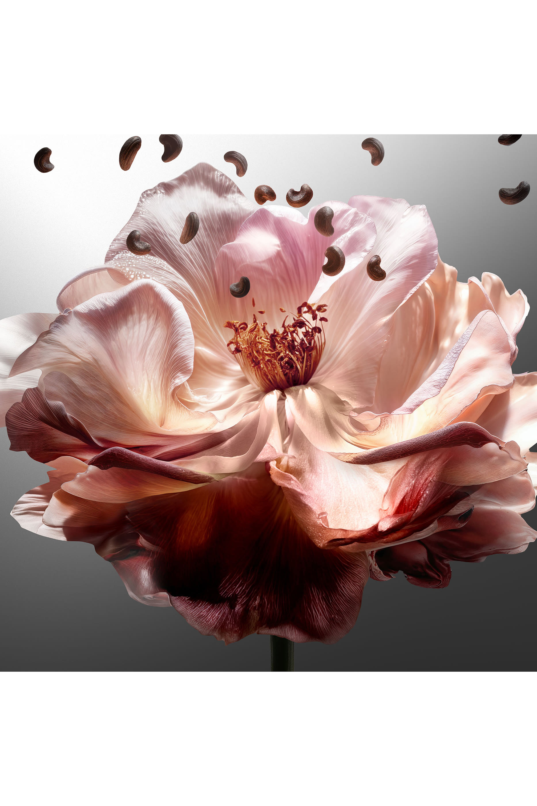 عبوة إعادة ملء أو دو بارفان هير ماجستي