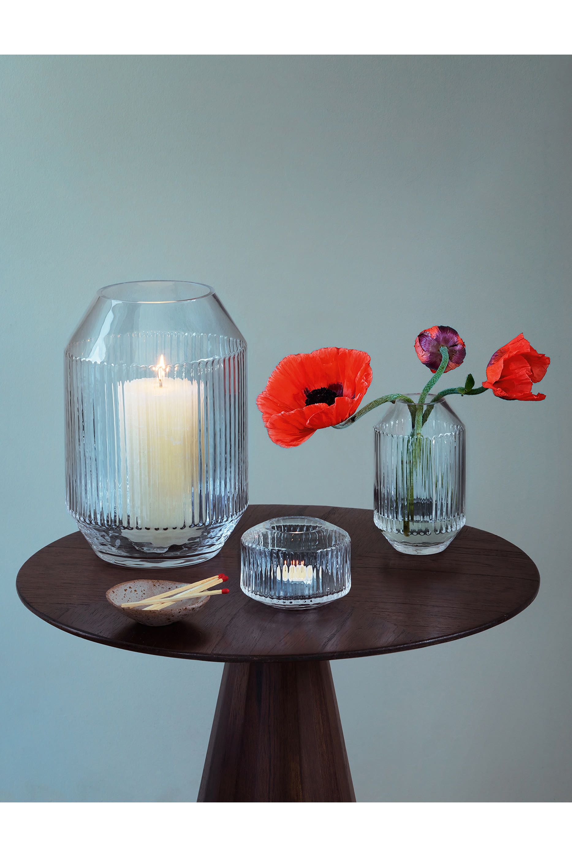 مزهرية روتوندا عريضة