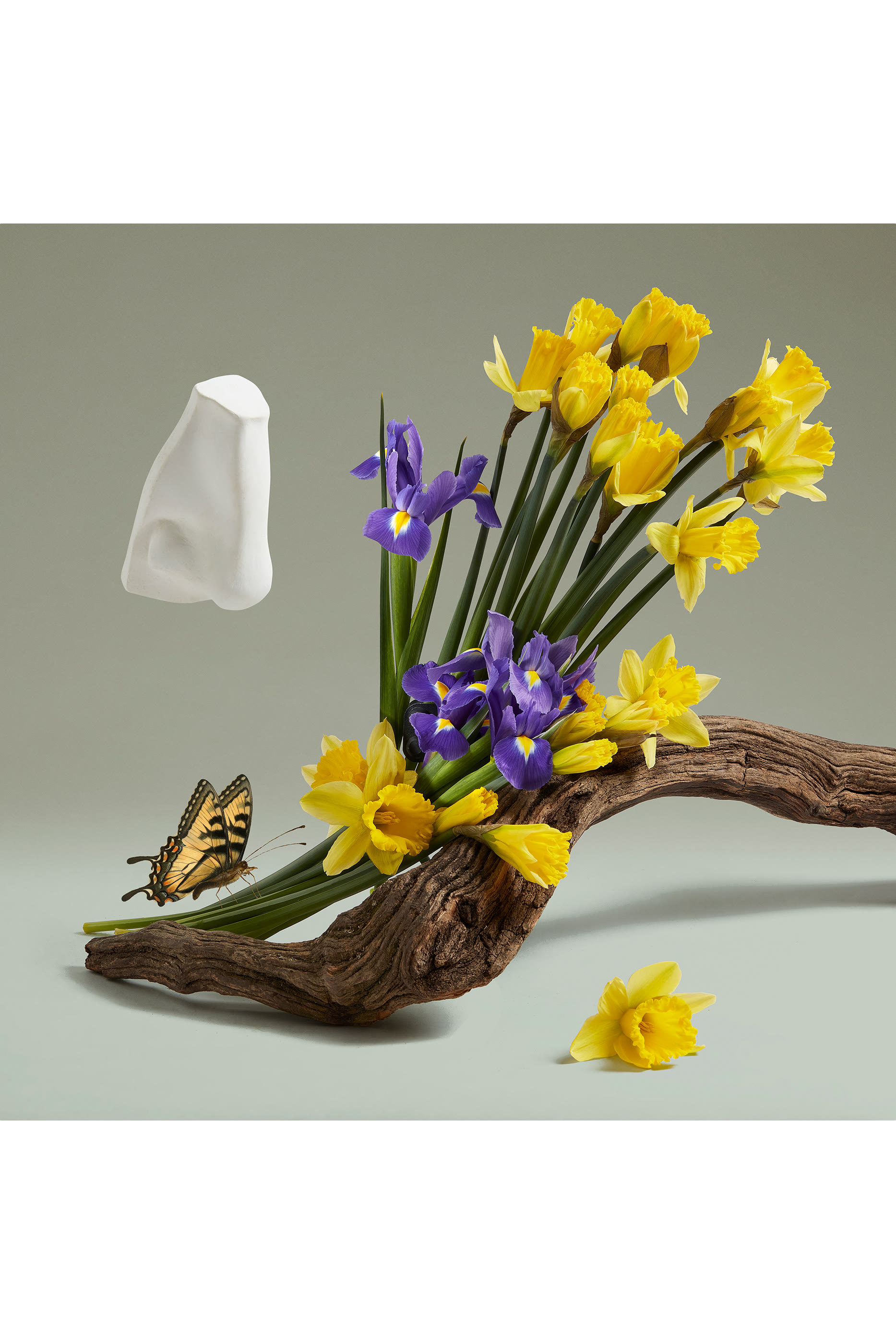 ماء عطر لايدي بلانش