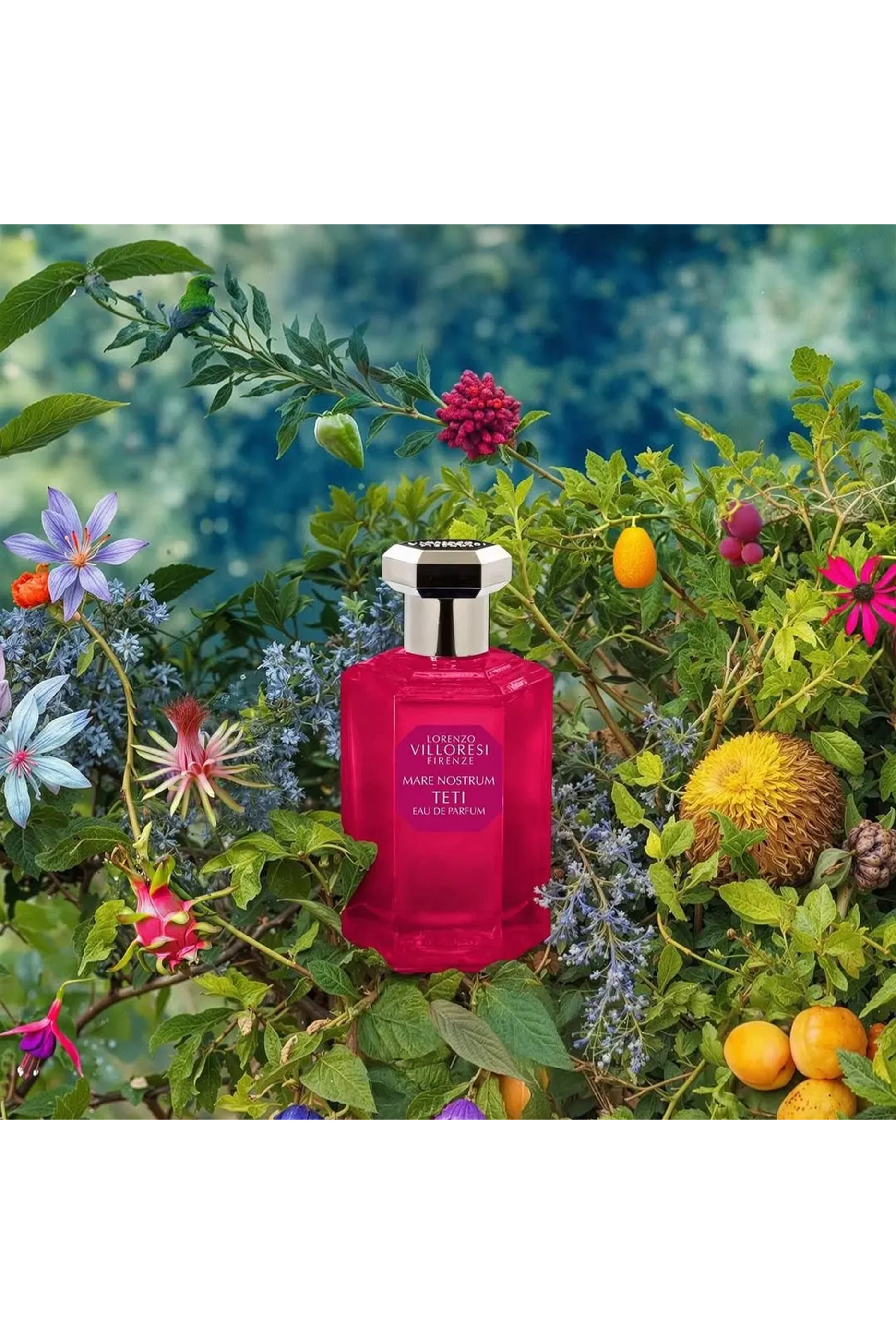 أو دو بارفان ماري نوستروم تيتي