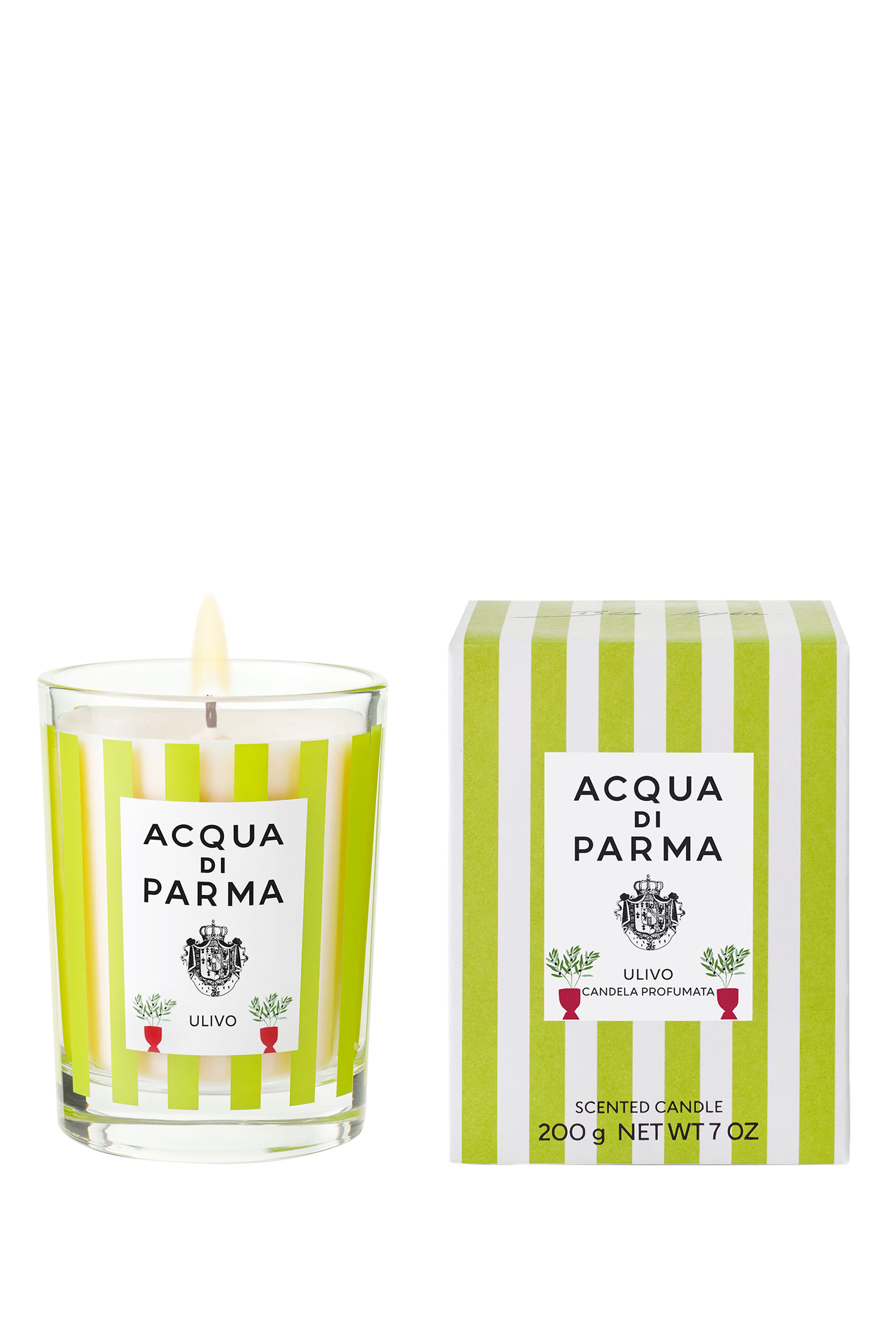 شمعة سامر 2025 أوليفو