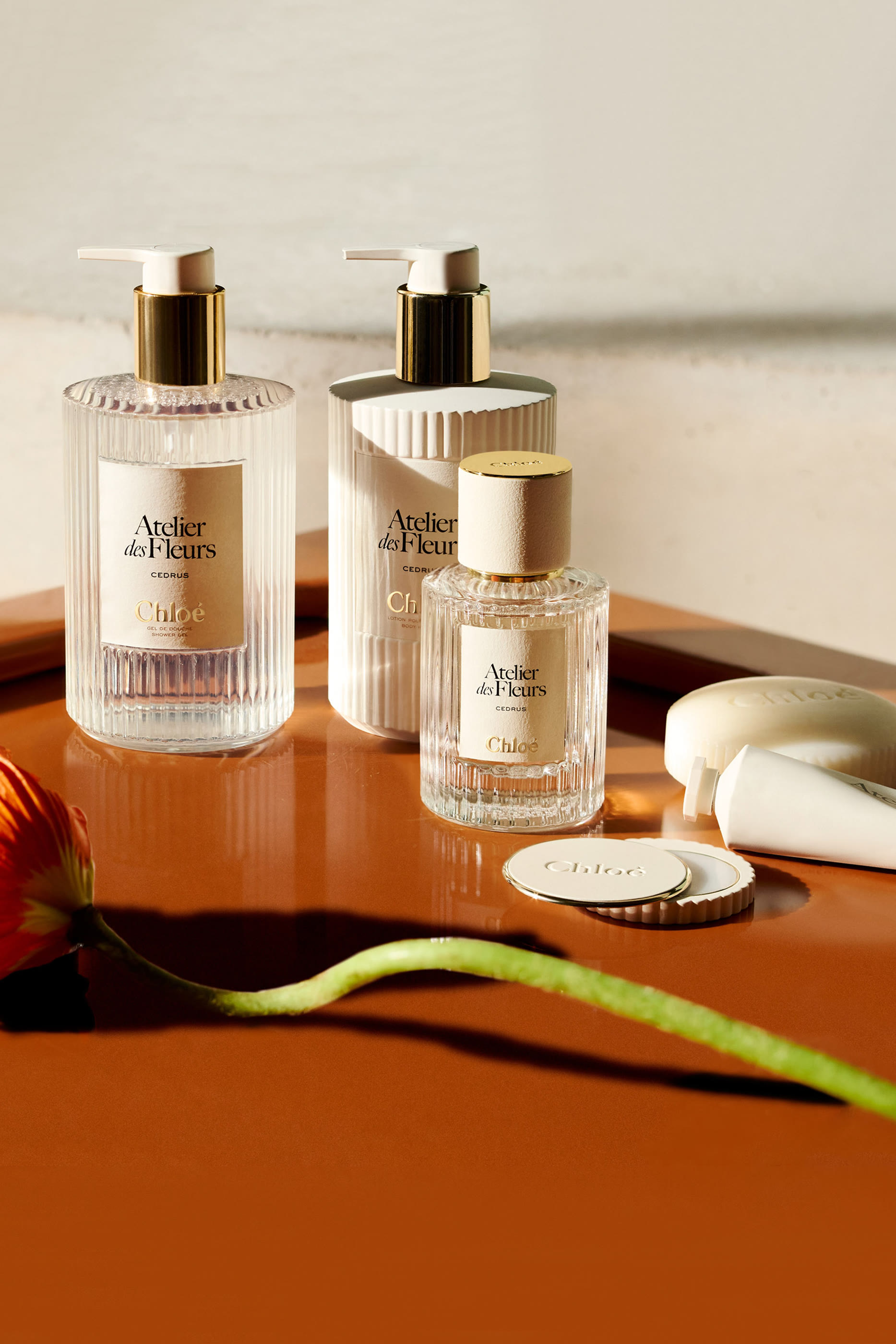 شاور جل معطر اتولييه دي فلور سانتالوم