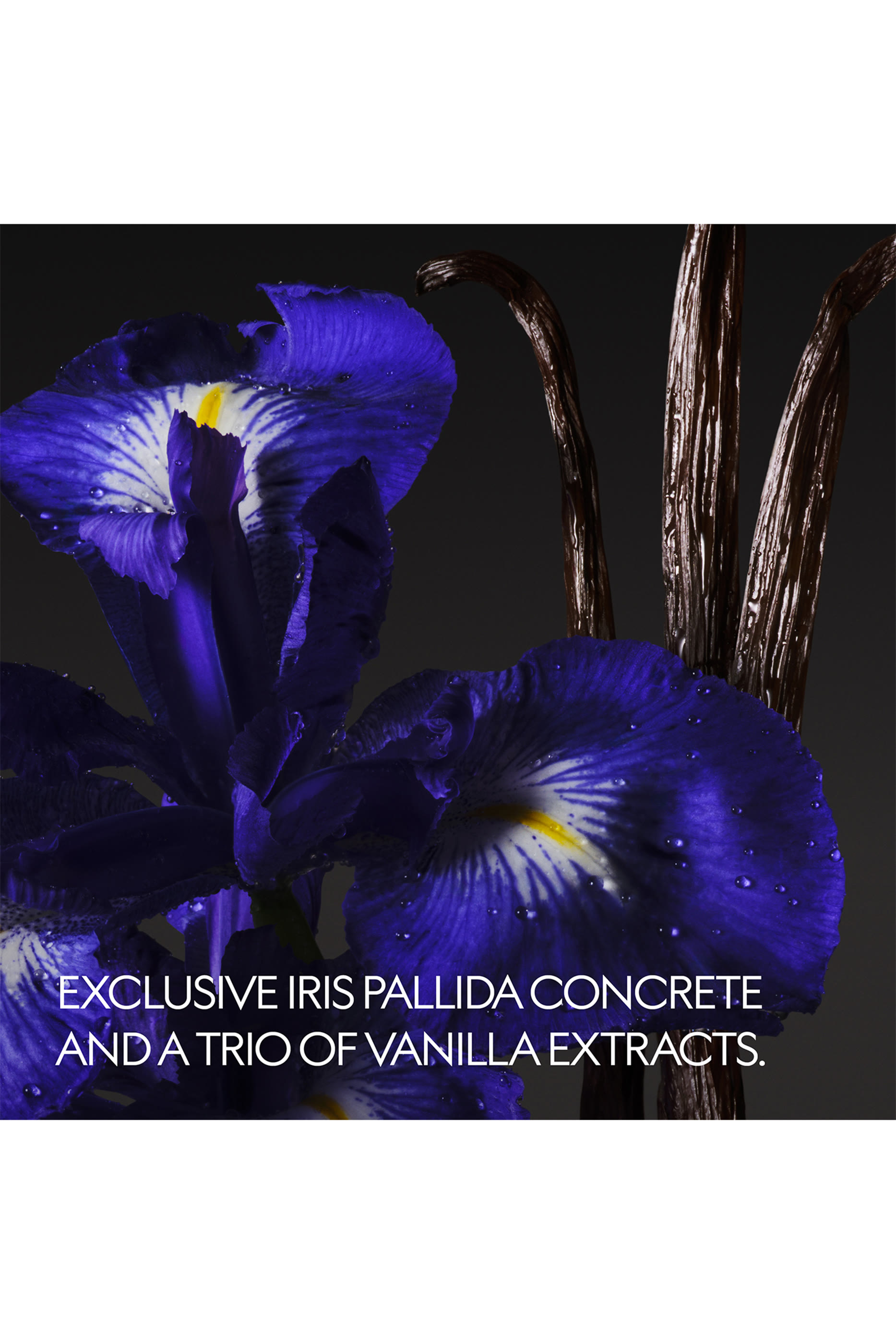 أو دو بارفان ذا ألكيميست جاردن فانيلا فيرينزي