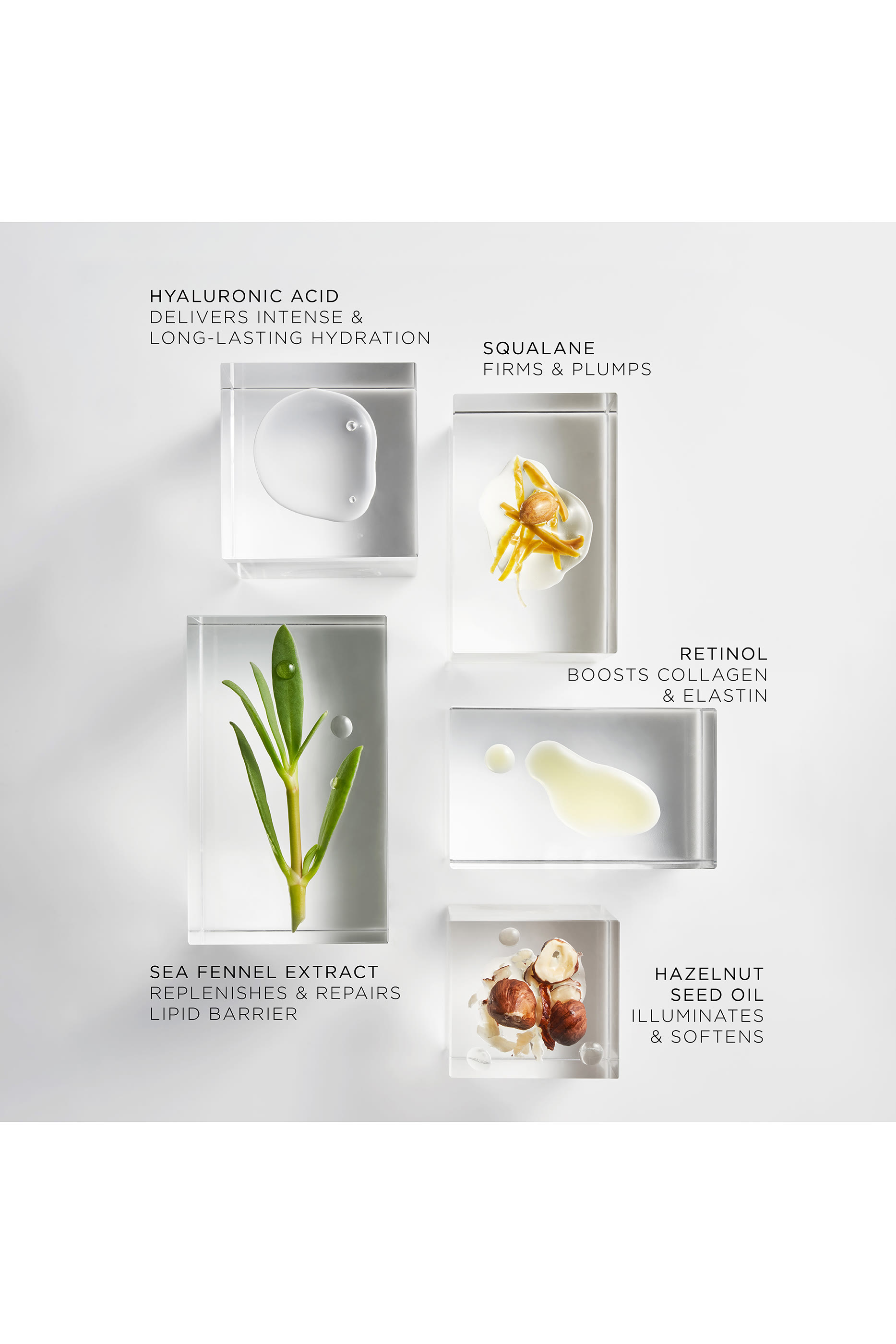 مجموعة عبوات إعادة ملء زيت أبسولوت للوجه، 30 قطعة