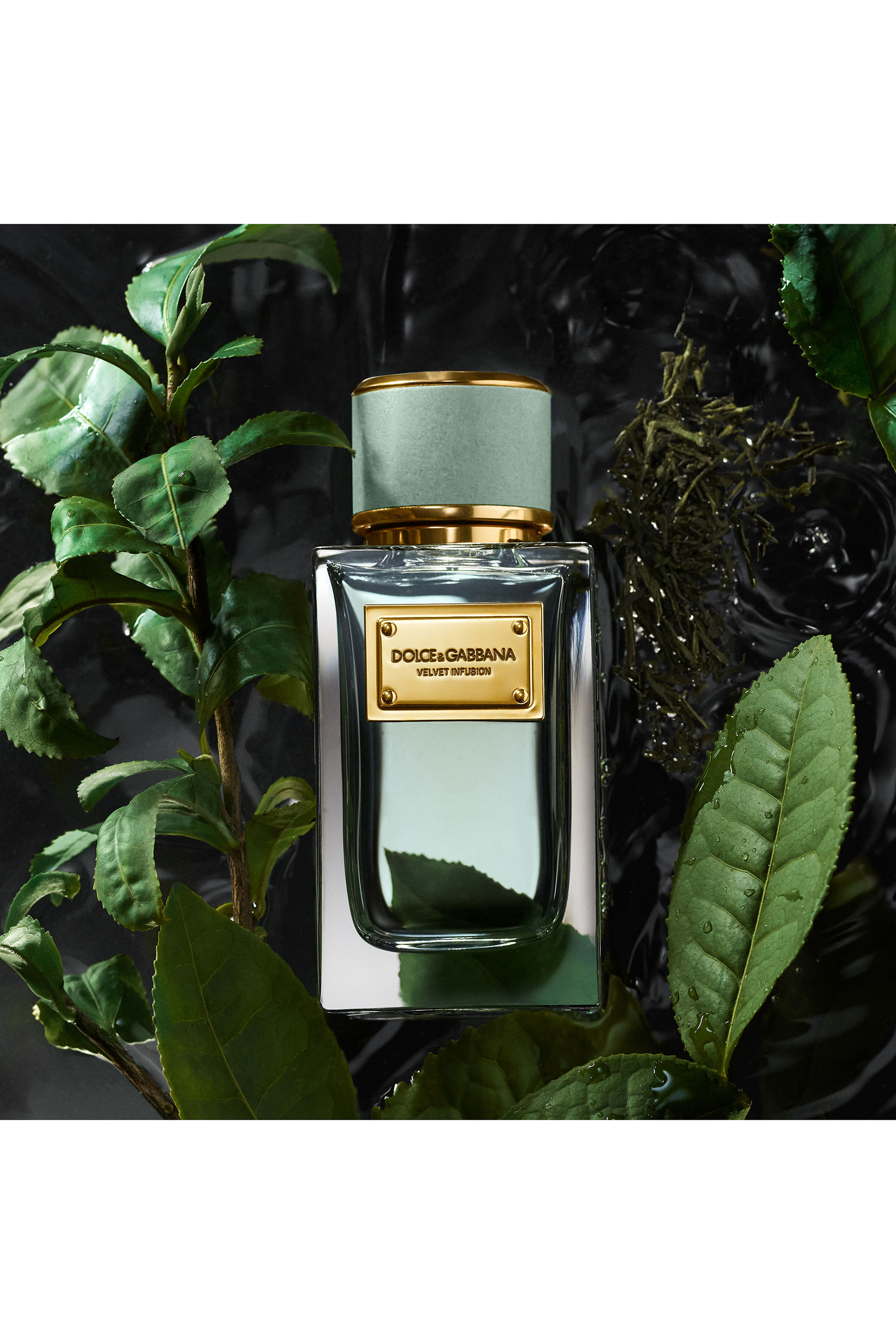 أو دو بارفان فيلفيت إنفيوجن