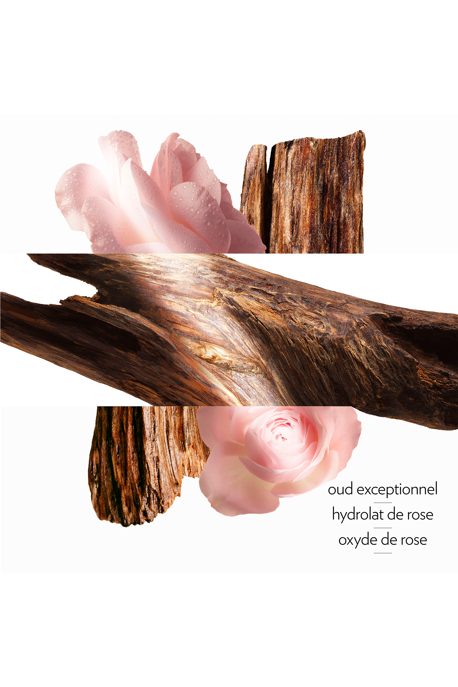 عبوة إعادة ملء أو دو بارفان Oud Alezan 