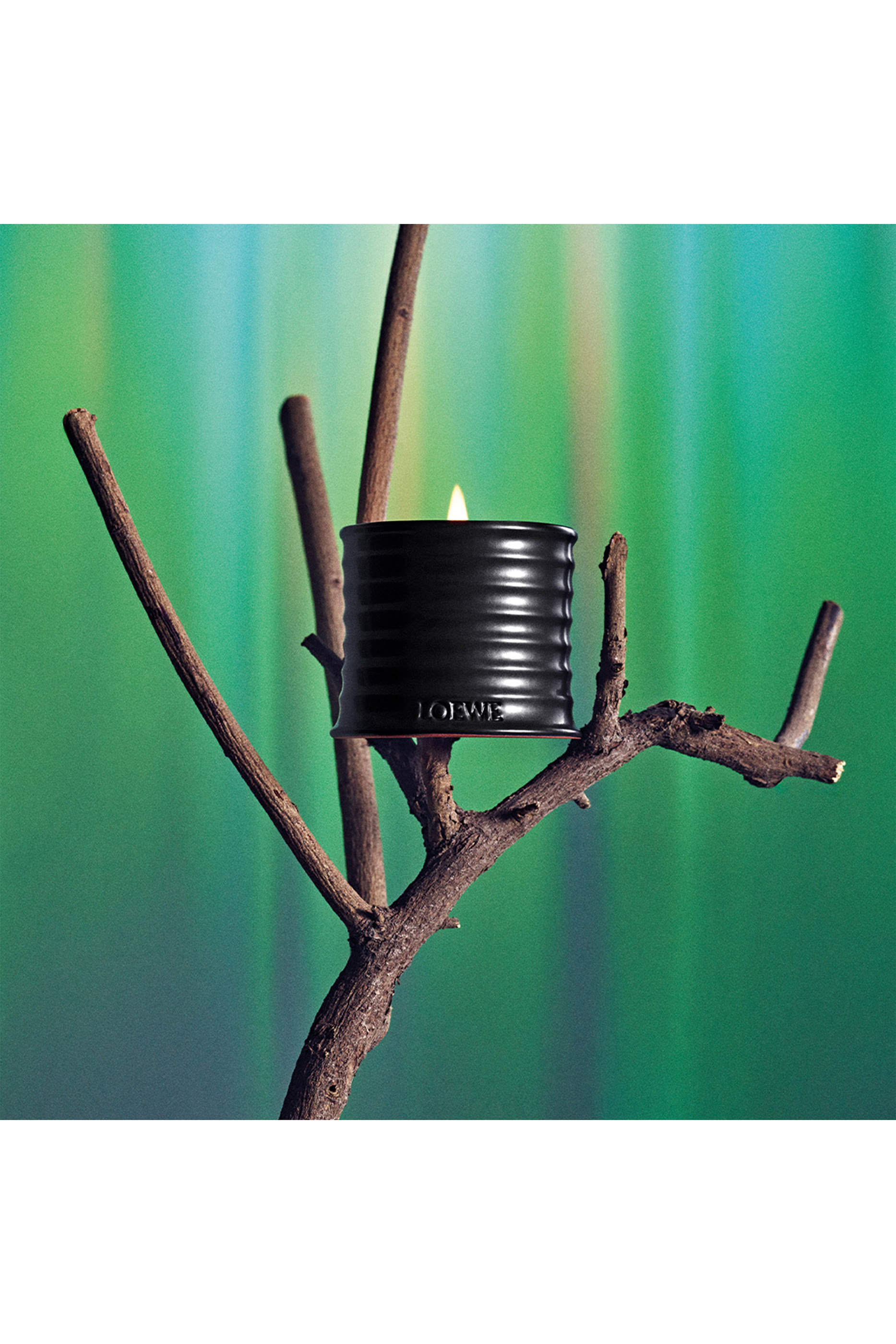 شمعة سانتو بالو متوسطة