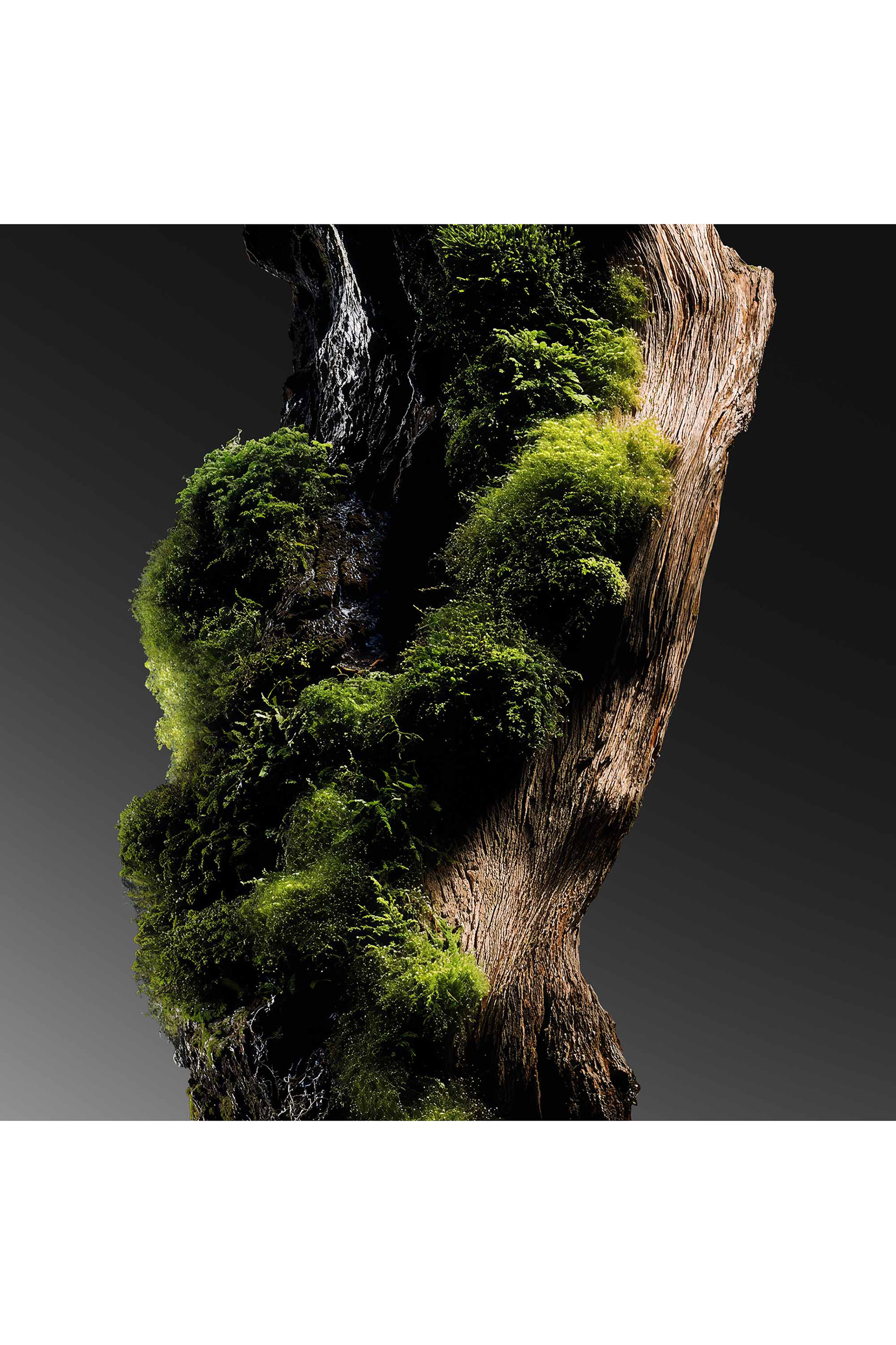 عبوة إعادة ملء أو دو بارفان هير ماجستي