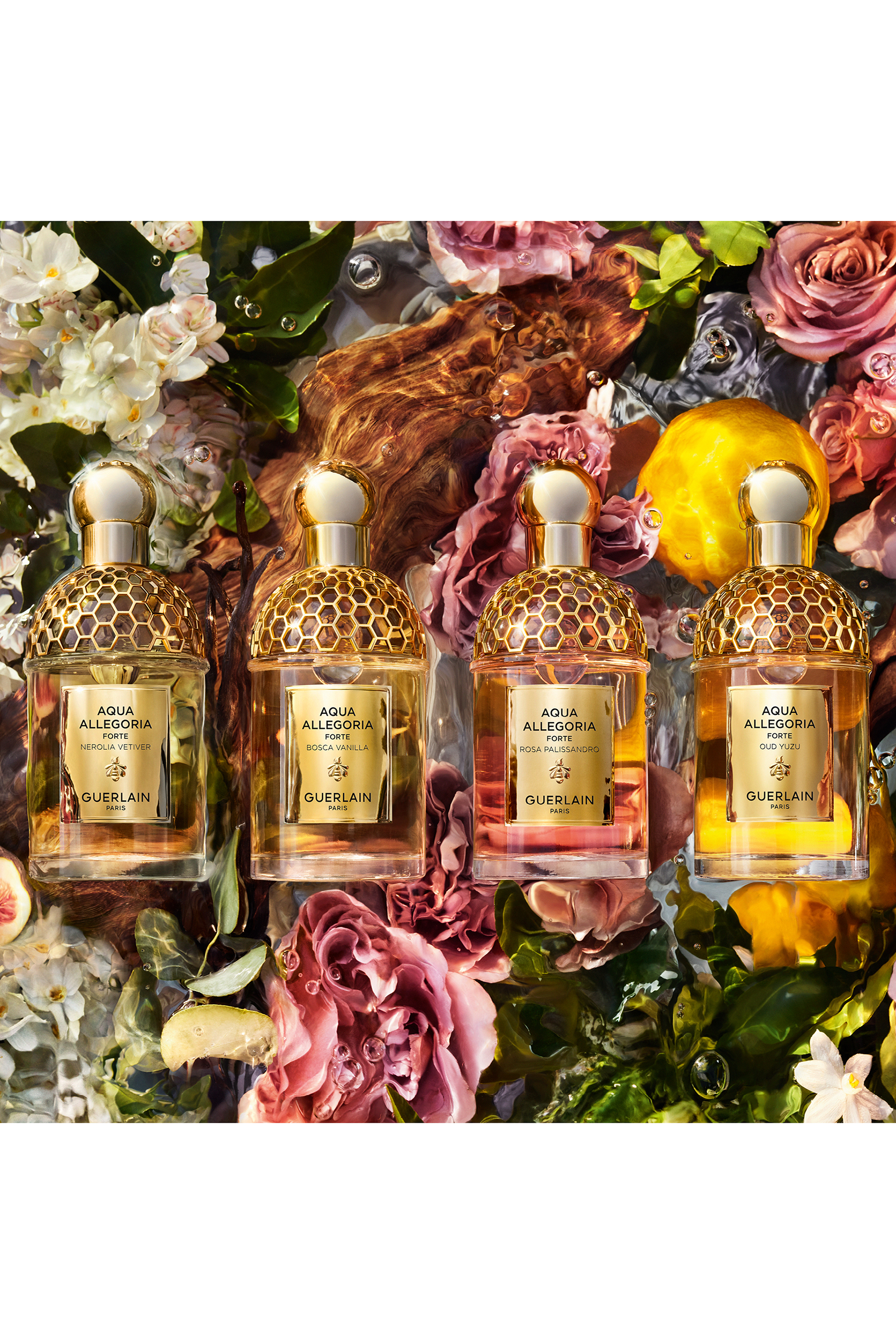 أو دو بارفان أكوا أليغوريا فورتي روزا باليساندرو