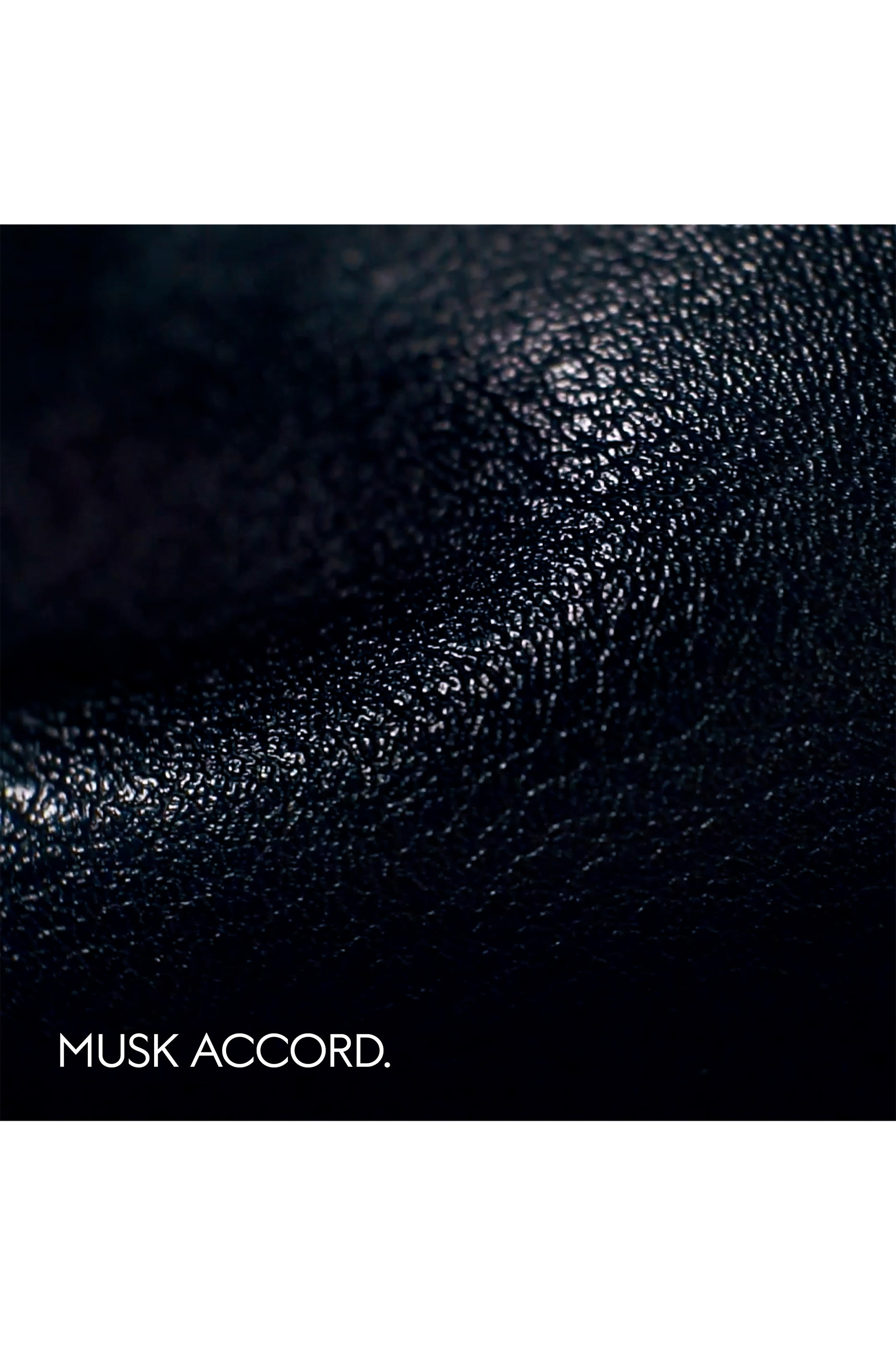 أو دو بارفان موشيو مينيراليس، ذا الكيميست جاردن