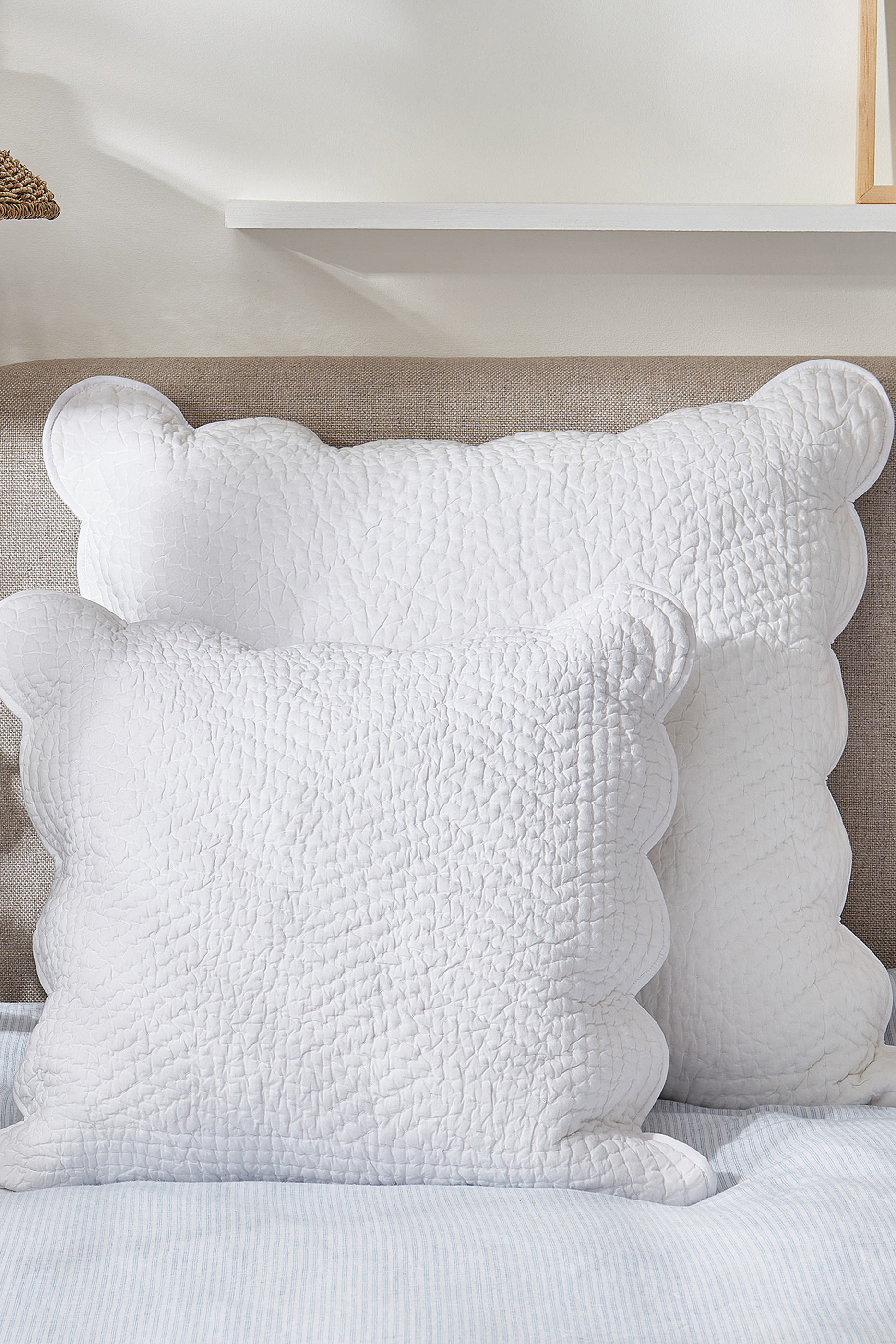 وسادة ميلفيلد بحواف صدفية