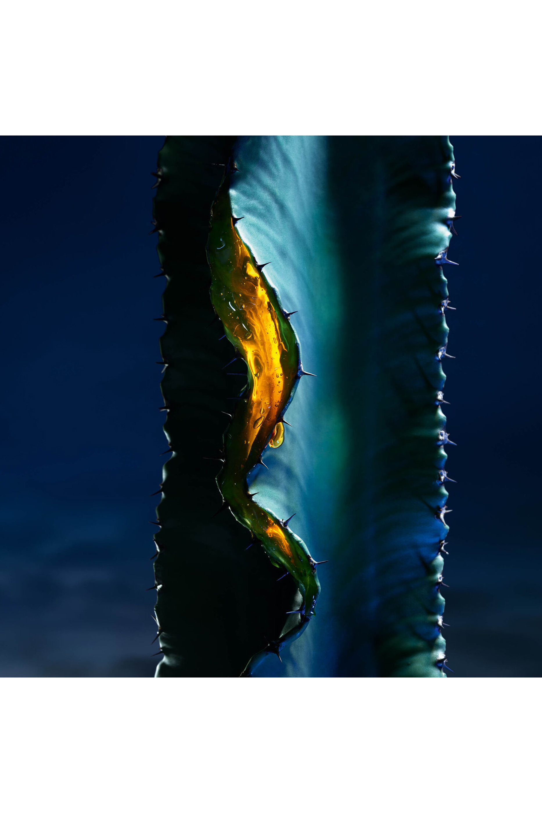 سيروم سوفاج للوجه