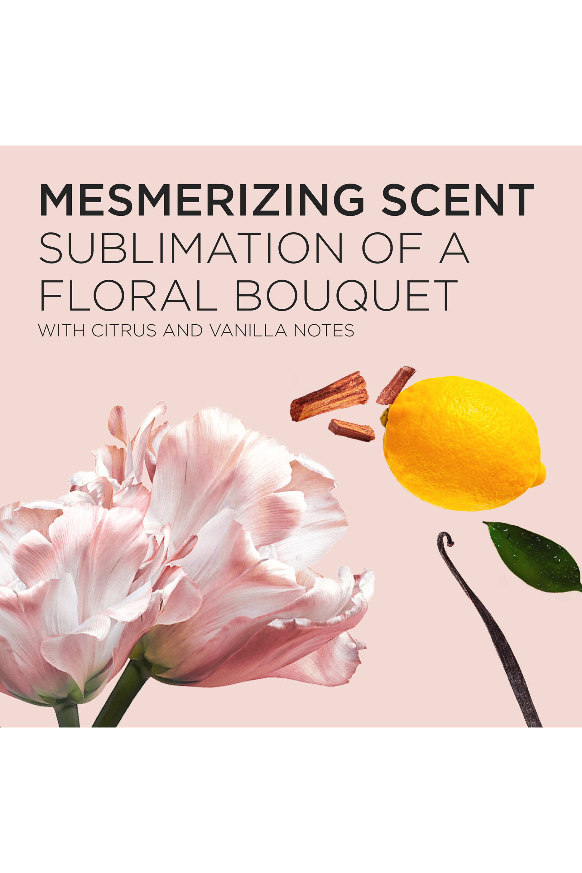 شامبو غلوس أبسولو هيدرا جليز