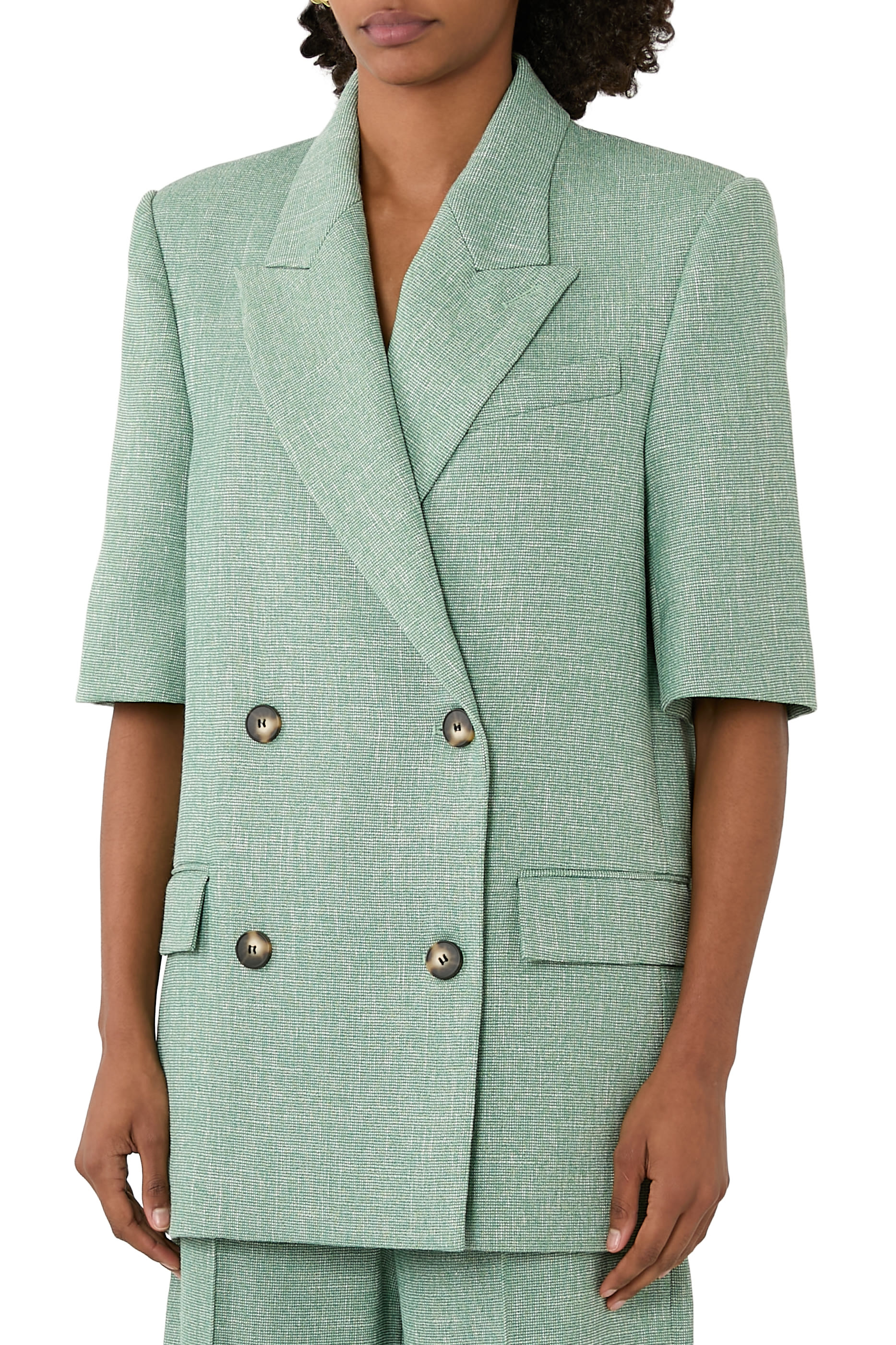 بليزر تيرينس