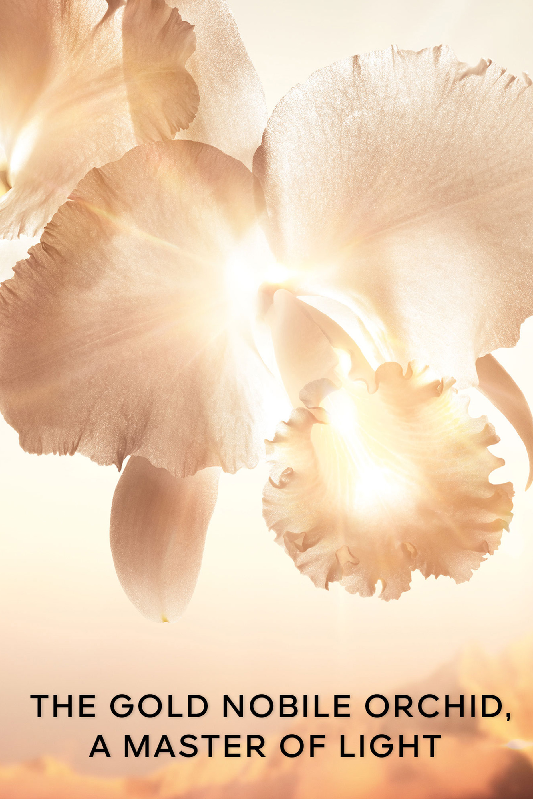 عبوة إعادة ملء كريم أوركيدي امبيريال جولد نوبيل