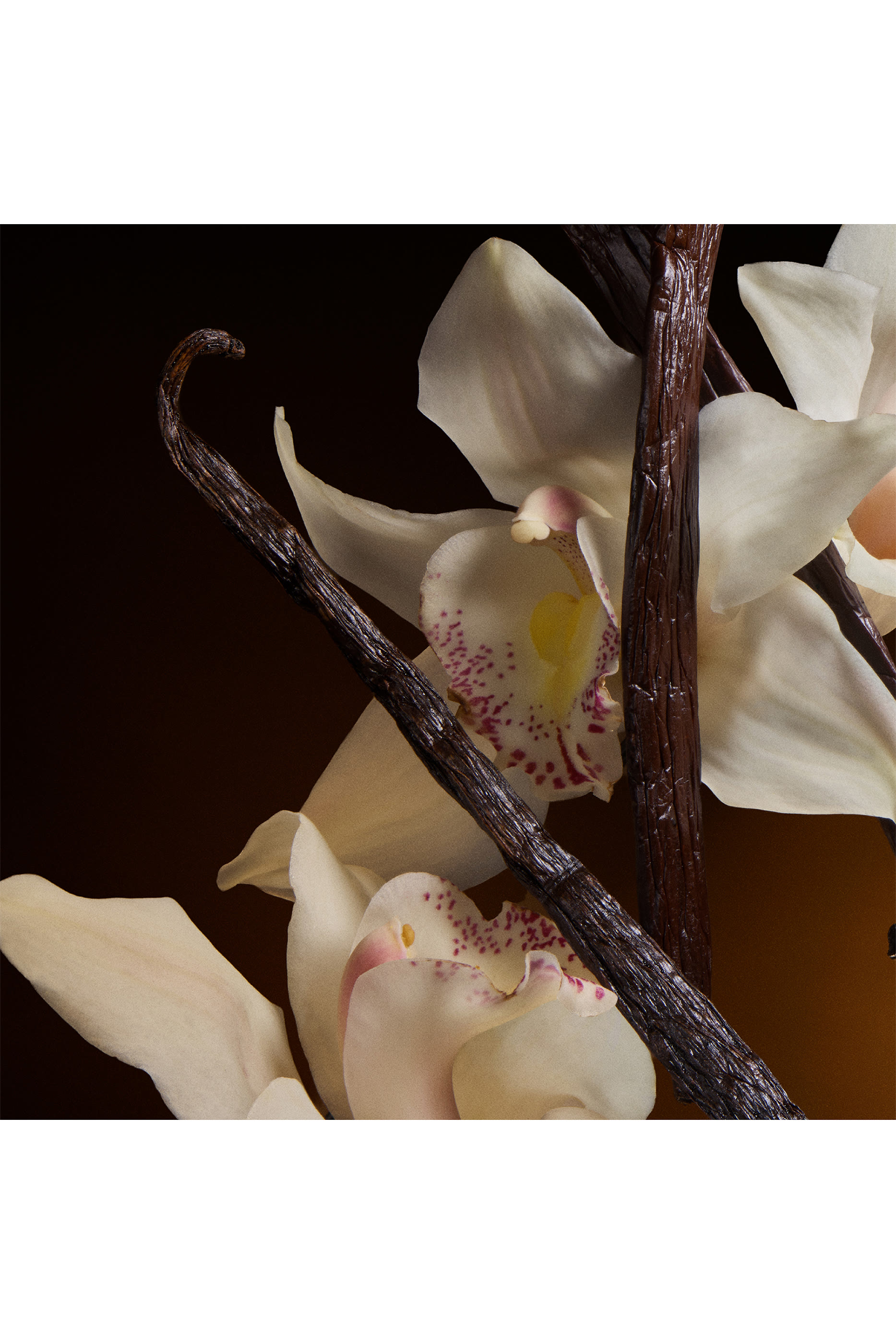 أو دو بارفان ذا وان