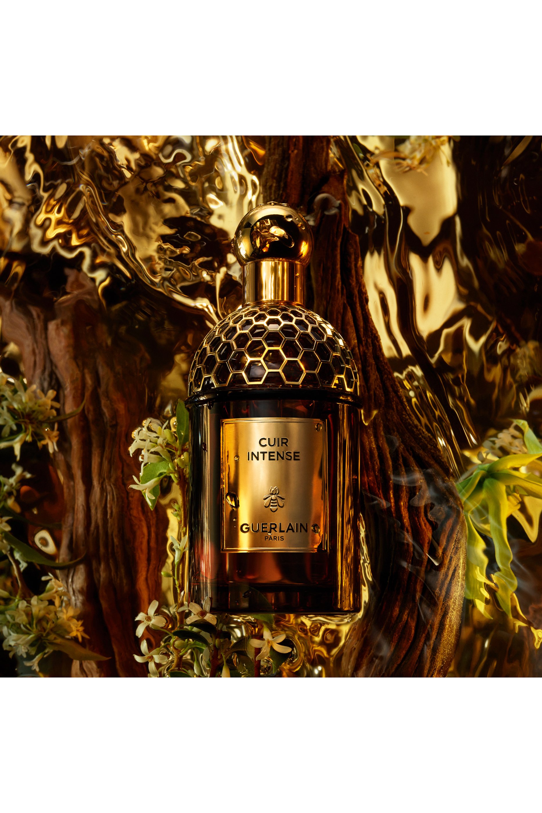 أو دو بارفان كوير إنتنس