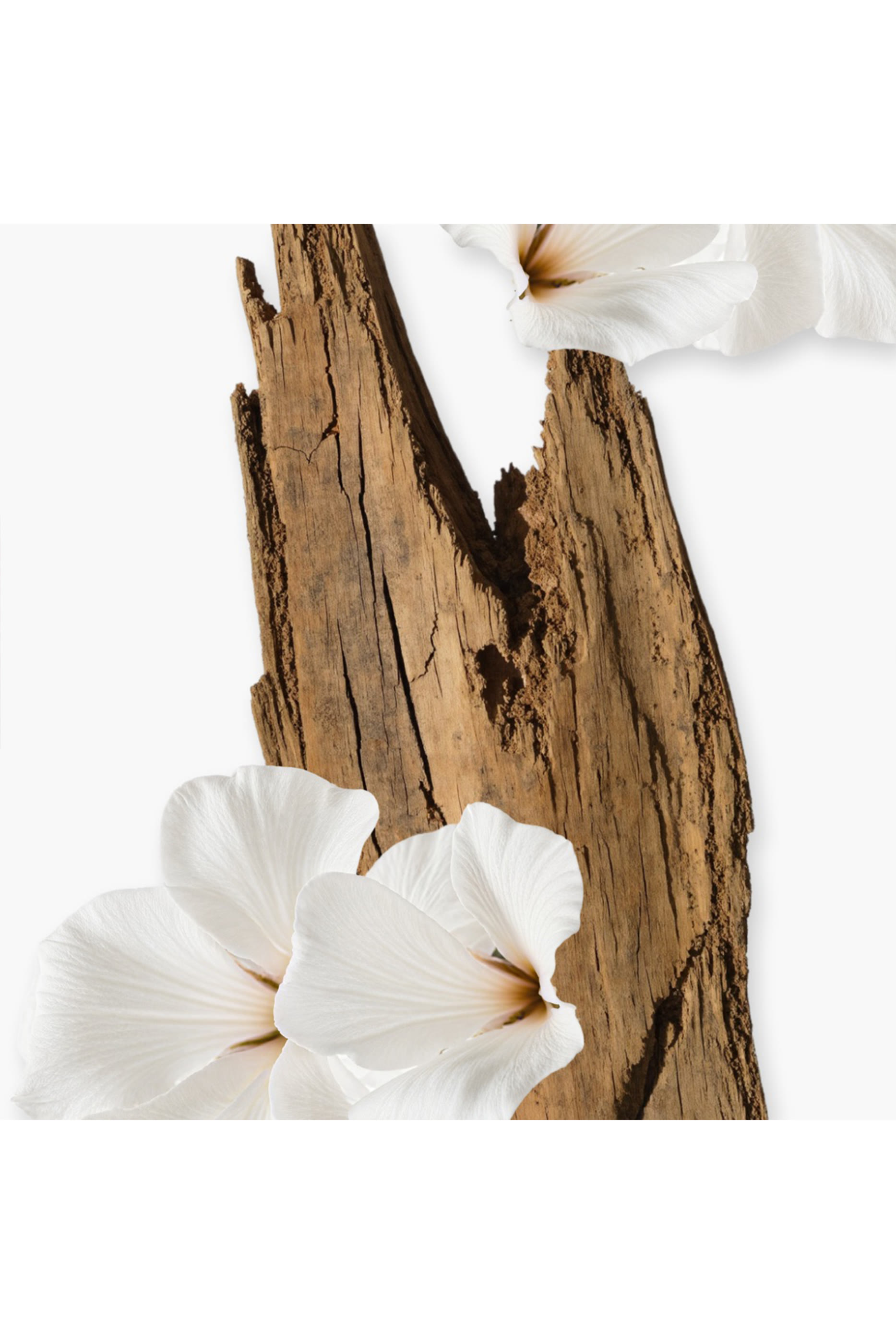 كريم الجسم فالايا قابل لإعادة الملء