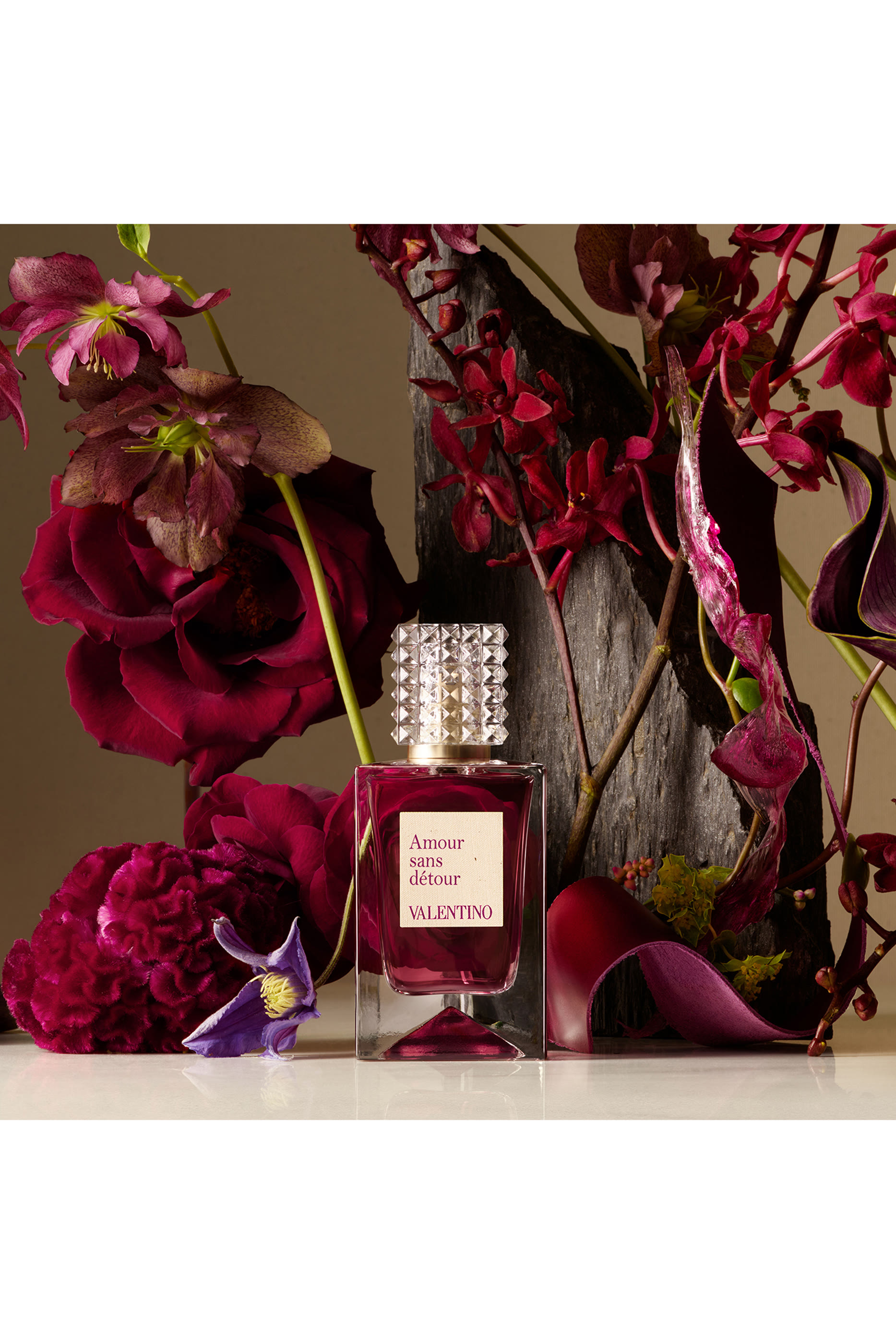 عطر أمور سان ديتور - أناتومي أوف دريمز