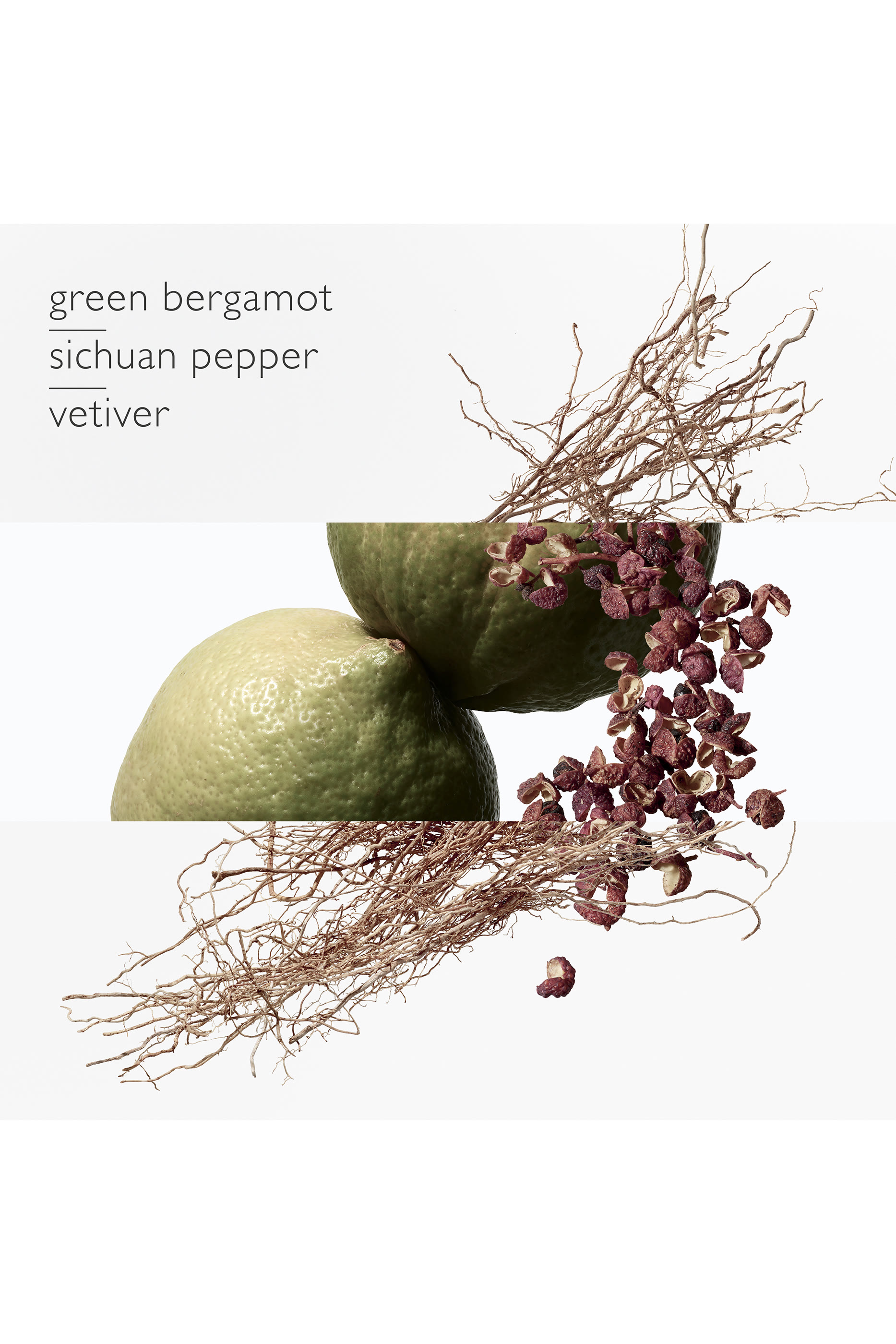 Terre d'Herm&egrave;s Eau Intense V&eacute;tiver, ماء عطر