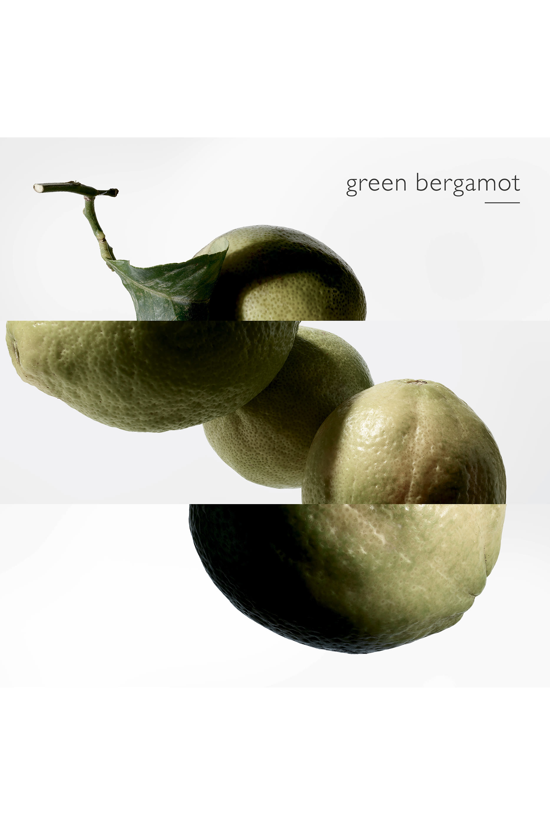 Terre d'Herm&egrave;s Eau Intense V&eacute;tiver, ماء عطر