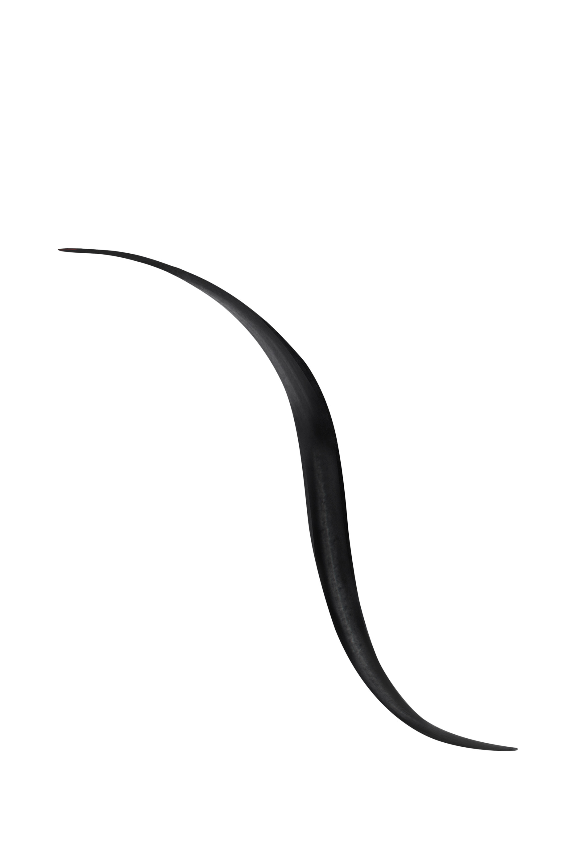 محدد عيون نوار جي غرافيك