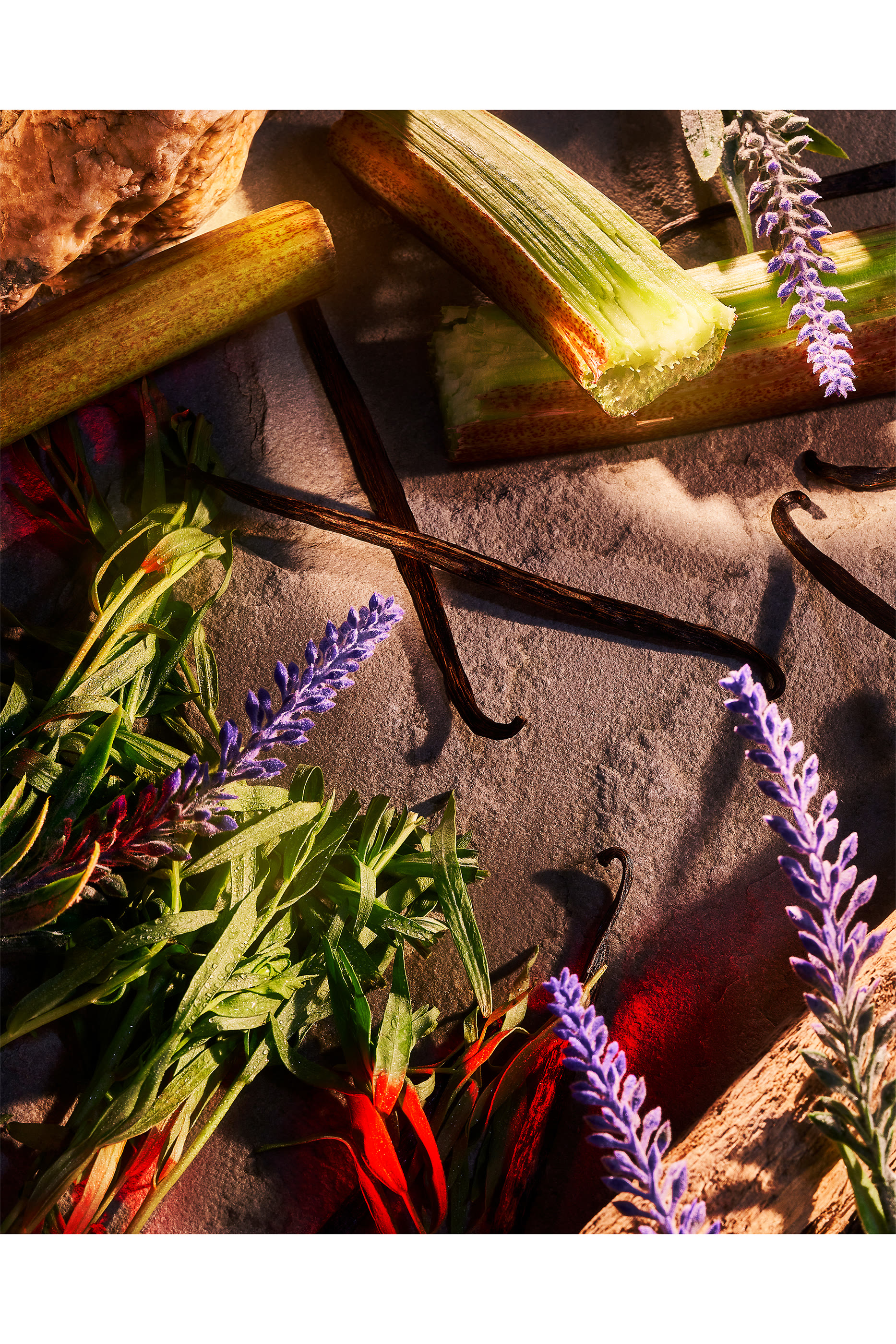 عطر دانجر للرجال